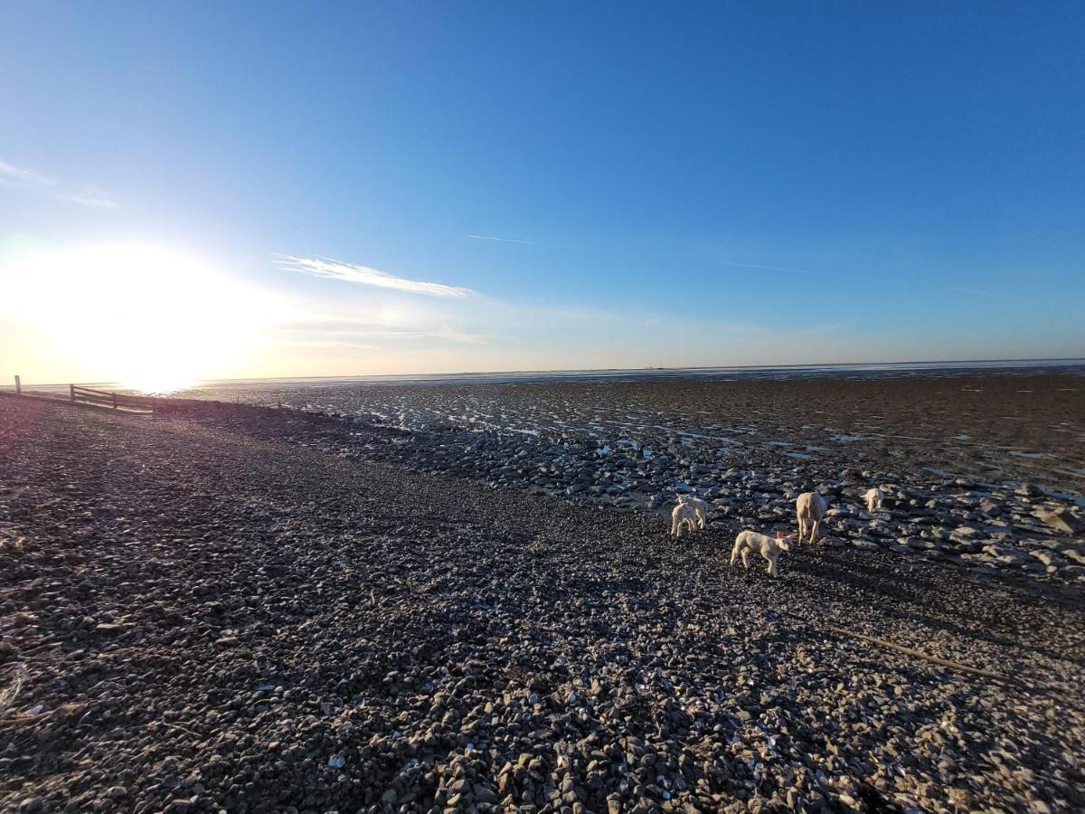 Wierums Huske Aan De Waddenzee Unesco Werelderfgoed Exterior foto